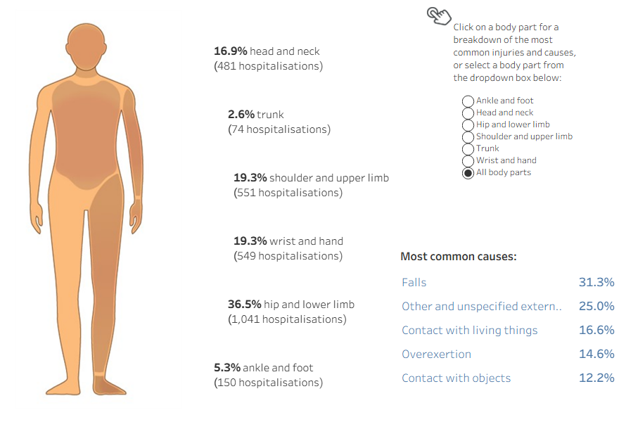 Diagram of human body shows percentage of body parts injured in hospitalisations in 2023–24, including injury types and causes.