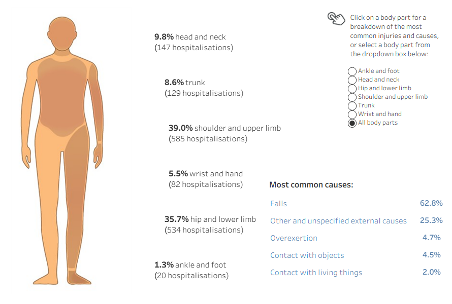 Diagram of human body shows percentage of body parts injured in hospitalisations in 2024–25, including injury types and causes.