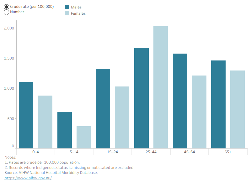 Bar chart showing that male First Nations people have higher numbers and rates of head injury hospitalisations across all age groups except for the 25-44 age group, where females are higher.
