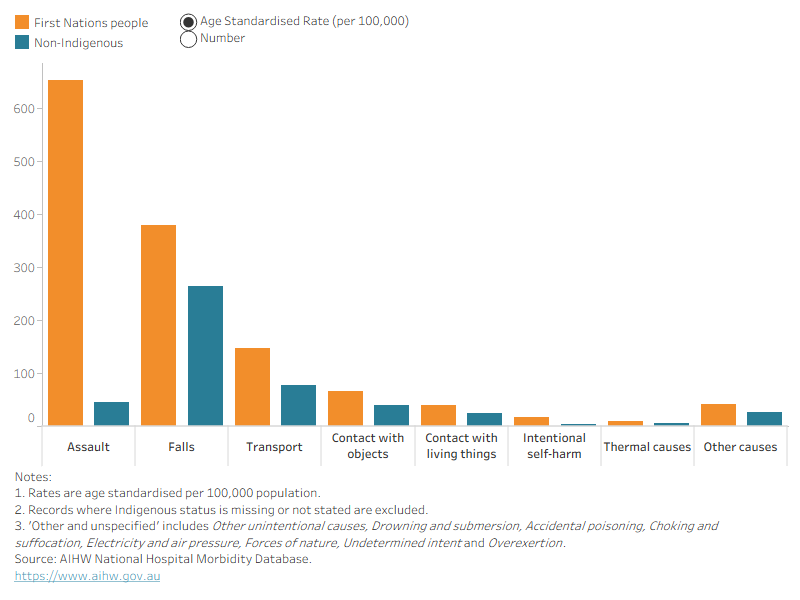 Bar chart showing that First Nations people have higher numbers and rates of head injury hospitalisations across all cause groups.