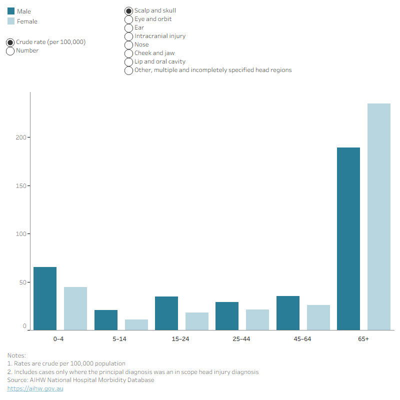 A bar graph showing the rates and numbers for males and females across head injury site. The 65 and over age group has the highest rates for most head injury sites.