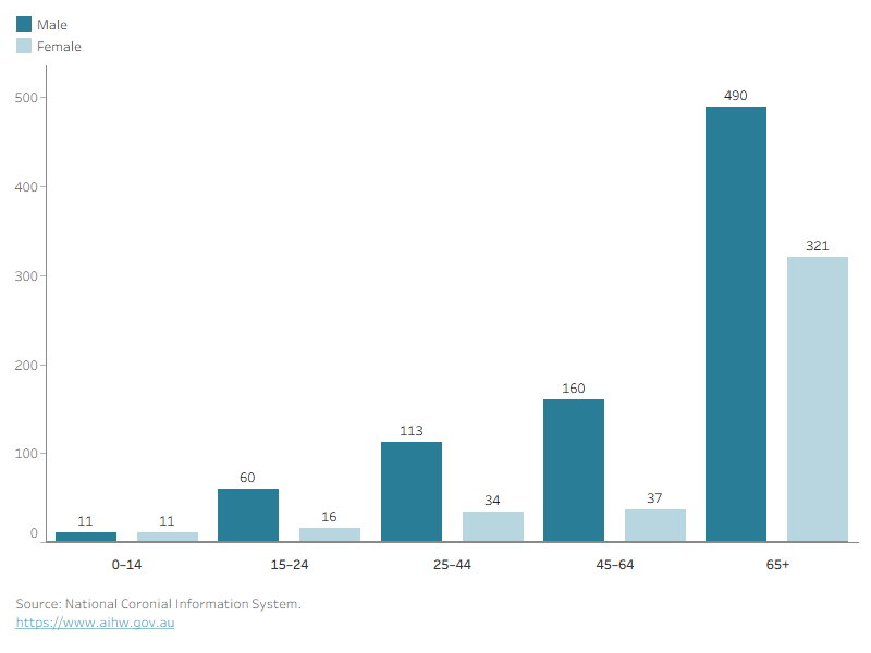 A chart showing that the 65 and over age group had the highest numbers of head injury deaths, and that males have higher numbers than females across all age groups except for the 0–14 age group where numbers are similar. 