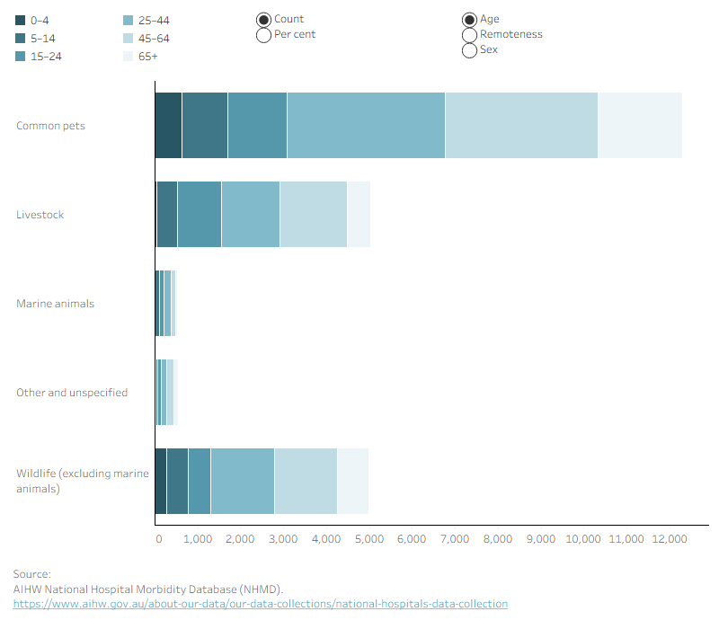 Interactive bar graphs displaying number and percent of injury hospitalisations by age, remoteness and sex.