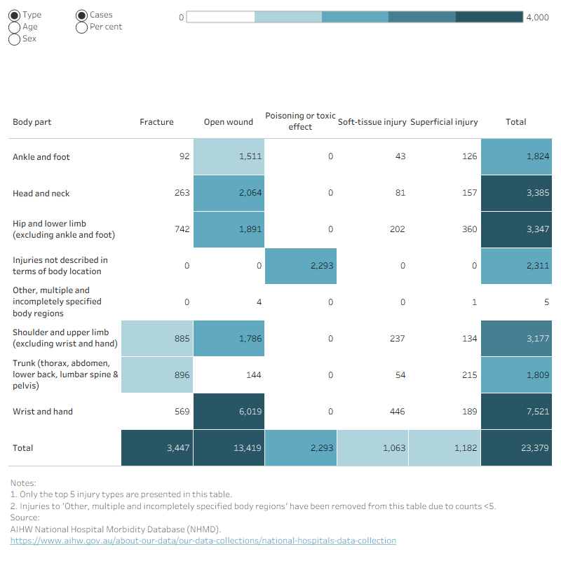 An interactive heatmap displaying the number and percent of injury hospitalisations by type and body part of injury. Body part injured can be further displayed by age and sex.