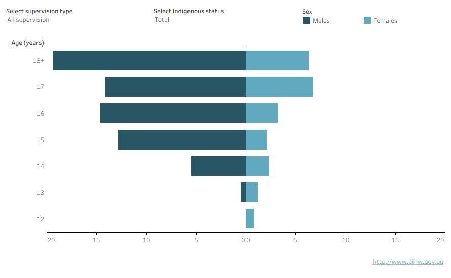 This population pyramid shows that the age distribution of males and females differed, with males under supervision were older on average than females, peaking at ages 17 and 15 respectively.