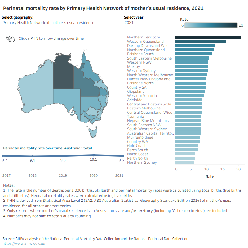 Rates of perinatal death in 2021 by selected geographic area, including state or territory of birth.
