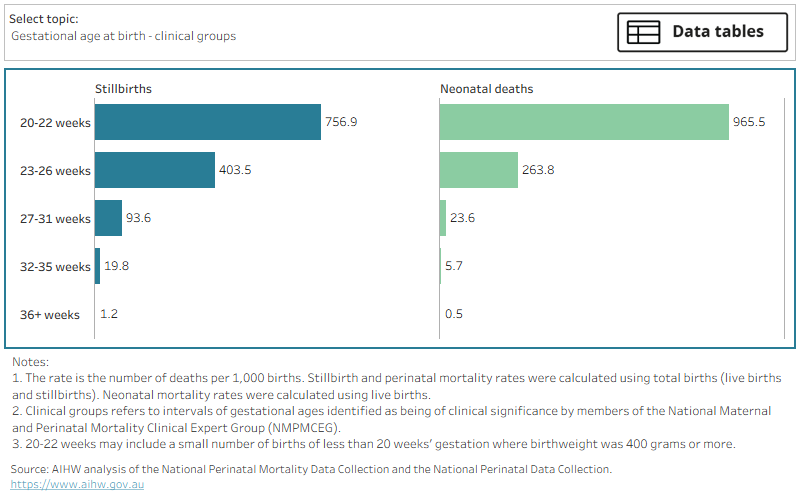 Rates of stillbirth and neonatal death in 2021 by characteristics of the baby and pregnancy, including birthweight, gestation, and plurality.