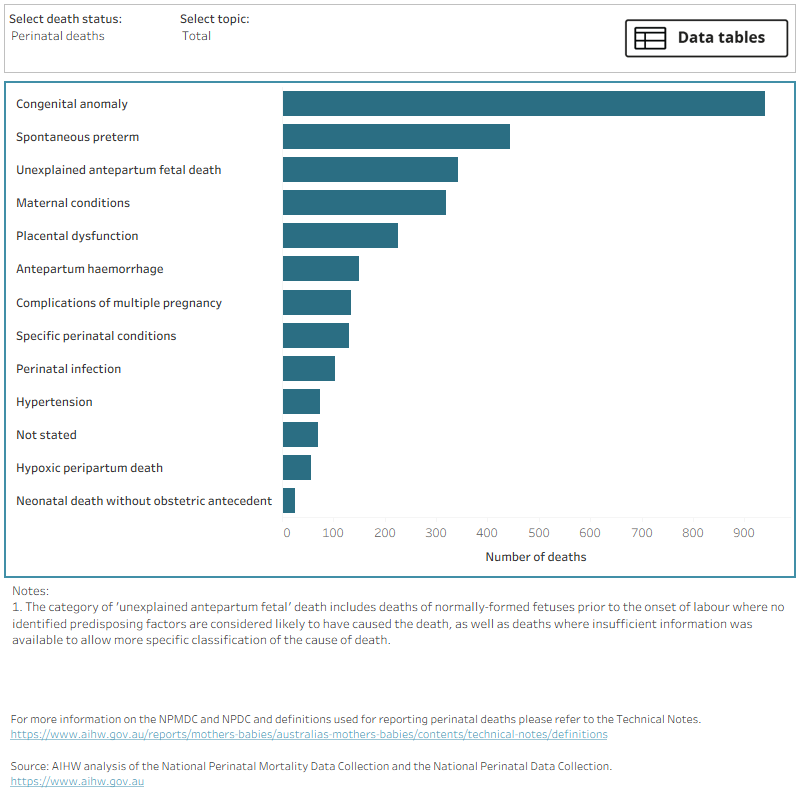 Causes of perinatal deaths in 2021. In separate views, these data are broken down by various characteristics including gestation, birthweight percentile.