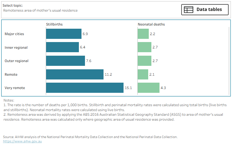 Rates of stillbirth and neonatal death in 2021 by various maternal demographic characteristics, including mother’s age at birth.