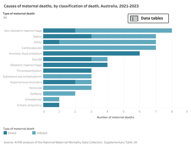 A stacked bar chart showing the causes for direct and indirect maternal deaths. The leading cause for 2021-2023 was non-obstetric haemorrhage.