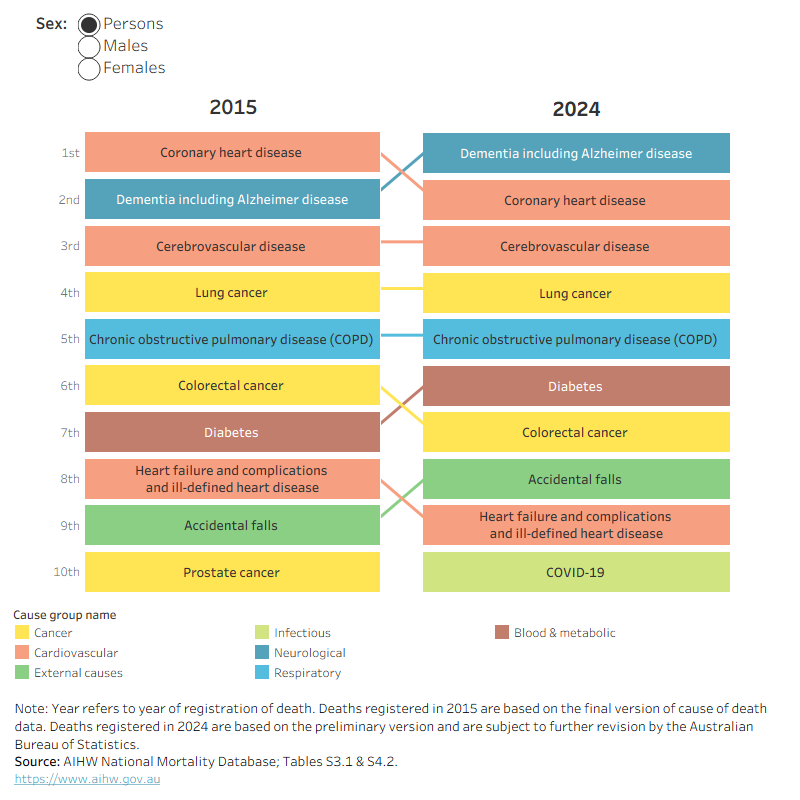 The bump chart shows that 9 of the 10 leading causes of death in 2015 were still in the top 10 in 2024 for persons, with some causes shifting in rank.