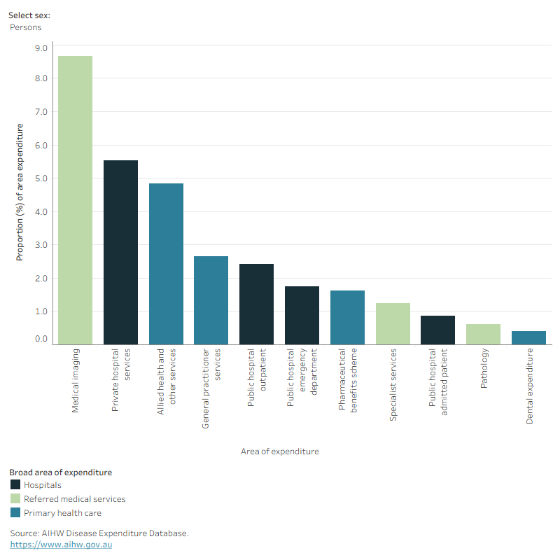 This figure shows that 4.8% of back problem expenditure was attributed to allied health and other services.