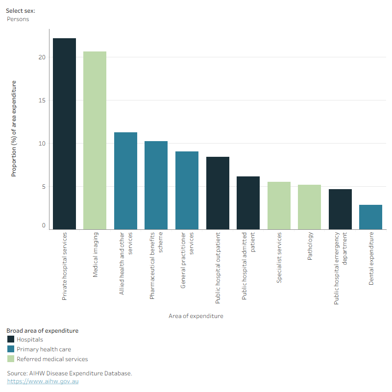 This figure shows musculoskeletal conditions accounted for 11% of all allied health and other services expenditure in 2020–21.