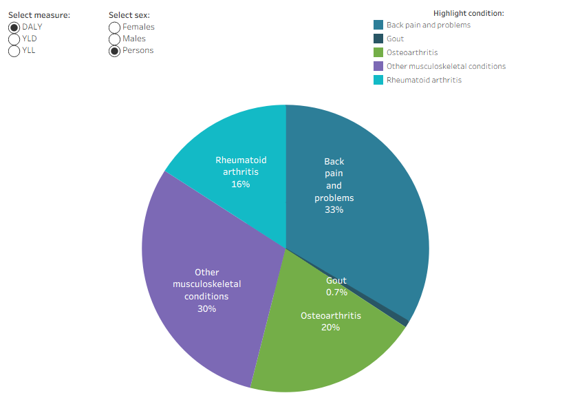 Pie chart with “back problems” and “other musculoskeletal” as roughly one third each, “osteoarthritis” and “rheumatoid arthritis” as roughly one fifth each, and a small sliver for “gout”.