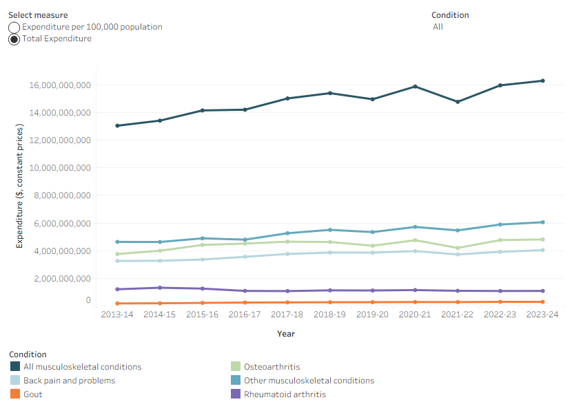 Line chart showing total expenditure increasing over time, with increases to all reported conditions except rheumatoid arthritis.