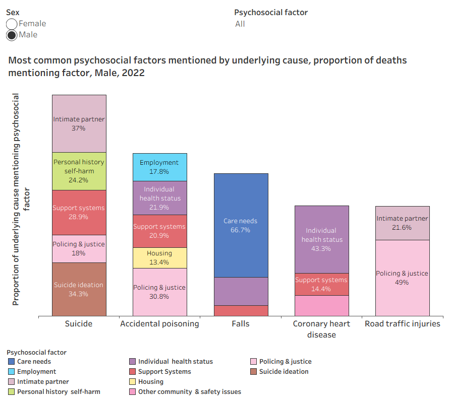 Issues surrounding intimate partners, personal history of self-harm, suicide ideation and circumstances surrounding support systems were mentioned for both males and females who died by suicide. Factors surrounding policing &amp; justice were more likely to be mentioned for males, and care needs for women. The most common psychosocial factor mentioned in deaths due to falls was care needs.